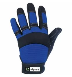 Elysee Handschuh Master